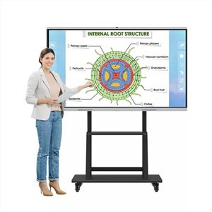 65 Inch Smart Board Interactive 4k Board