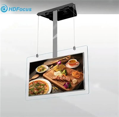 Digital Signage Vertical Screen 43 55inch